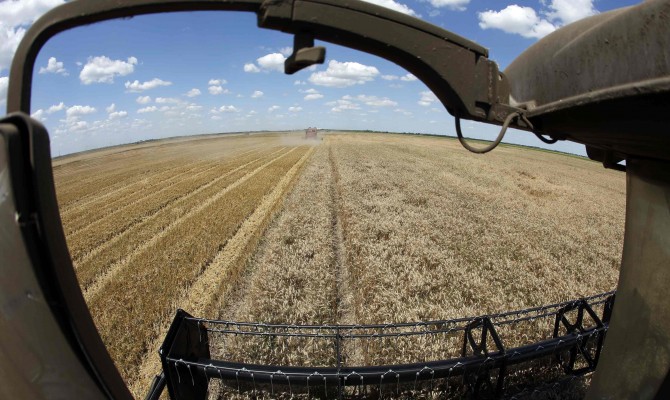 Интерес инвесторов к украинским агрокомпаниям убили война и девальвация