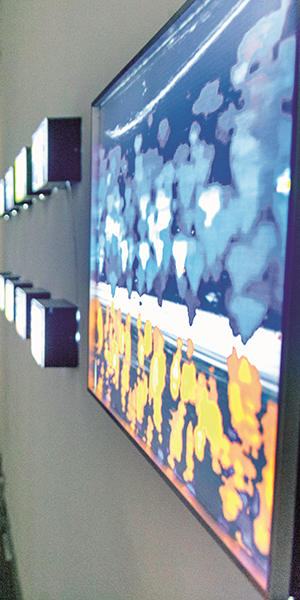 Охота на глюки