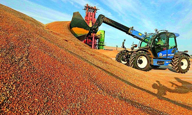 По итогам 2014 года Донбасс потеряет от 8 до 25% урожая