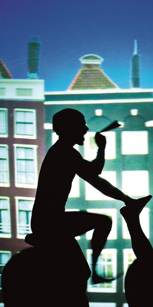 Танцующие подсолнечники