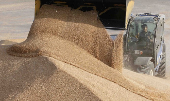Украина экспортировала 8,6 млн тонн зерна