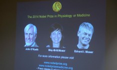 «Нобеля» по медицине получили исследователи ориентации человека в пространстве