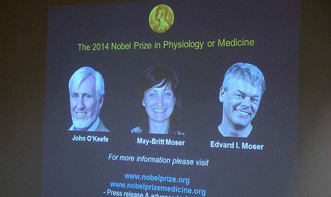 «Нобеля» по медицине получили исследователи ориентации человека в пространстве