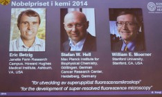 «Нобеля» по химии получили за разработку флуоресцентной микроскопии
