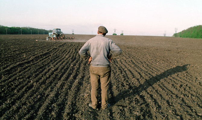 Борьба с коррупцией и бюрократией на рынке земли пока не дала результатов