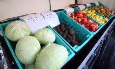 Россия разрешила Турции везти овощи и фрукты в РФ через Украину