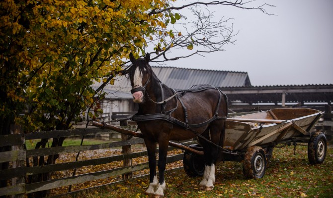 Впервые в Украине экзит-пол проведут даже в отдаленных селах