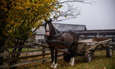 Впервые в Украине экзит-пол проведут даже в отдаленных селах