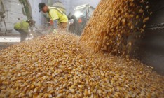 Украина экспортировала 11 млн тонн зерна