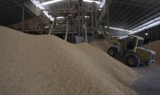 Запасы зерна к 1 ноября на 31% выше прошлогодних, — Госстат