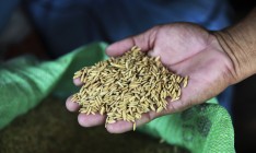 Украина хочет увеличить экспорт зерна в Китай на 71%