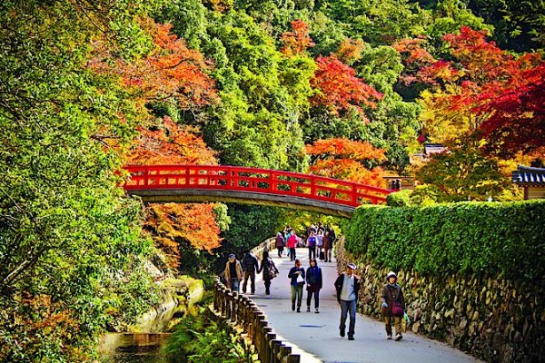 За чем ехать в Японию в декабре