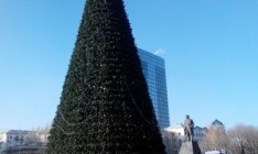 В центре Донецка поставили елку