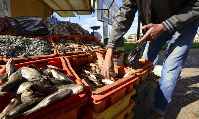 Импортная рыба в Украине подорожала на 40%