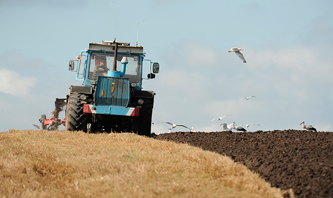 НДС для экспортеров зерна может вернуться под руку с коррупцией