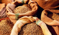 Урожай зерна в этом году в Украине оценивают в 50 т