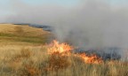 Российские пожары перекинулись на Монголию
