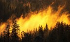 Площадь лесных пожаров в Сибири за выходные увеличилась на 25 тыс. гектаров