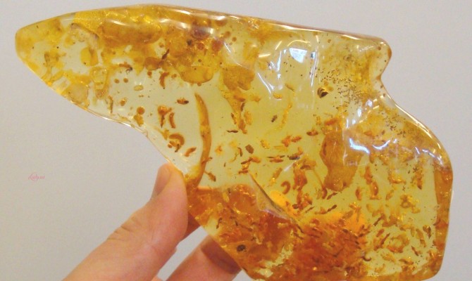 В Минэкологии хотят разрешить населению добычу янтаря