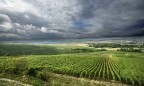Виноградники Шампани и Бургундии попали в список всемирного наследия ЮНЕСКО