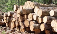 Порошенко одобрил запрет экспорта леса
