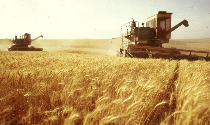 МинАПК: Аграрный сектор Украины функционирует только на 50% мощности