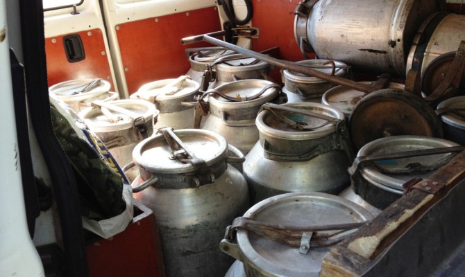 Рада намерена запретить скупать молоко дешевле, чем за 4 грн/кг