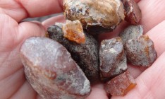 Минэкологии не хочет запрещать частным компаниям добывать янтарь