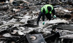 Почти 80% нидерландцев считают, что в катастрофе MH17 виновата Россия