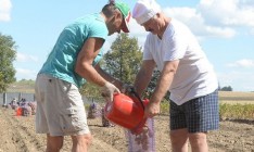 Как Лукашенко накопал 70 мешков картошки