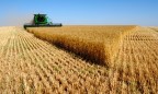 За первое полугодие экспорт украинской аграрной продукции составил $6,7 млрд