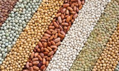 Украина экспортировала масличные культуры на $1,75 млрд