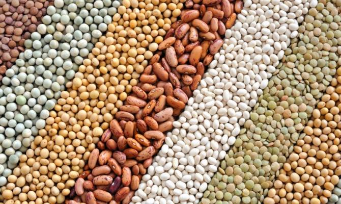 Украина экспортировала масличные культуры на $1,75 млрд