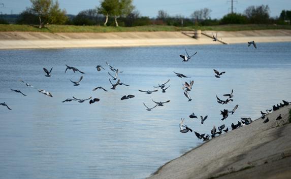 Кубань передумали использовать для водоснабжения Крыма