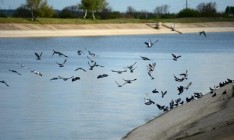 Кубань передумали использовать для водоснабжения Крыма