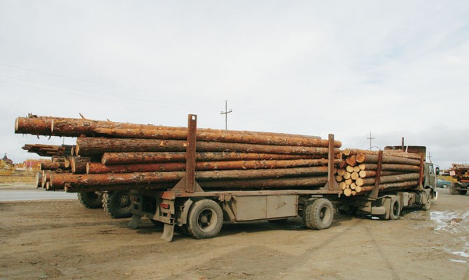 Луганский губернатор запретил пропуск лесовозов в регион