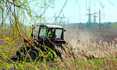 Экспорт украинской аграрной продукции в Россию за 8 месяцев составил $193,3 млн