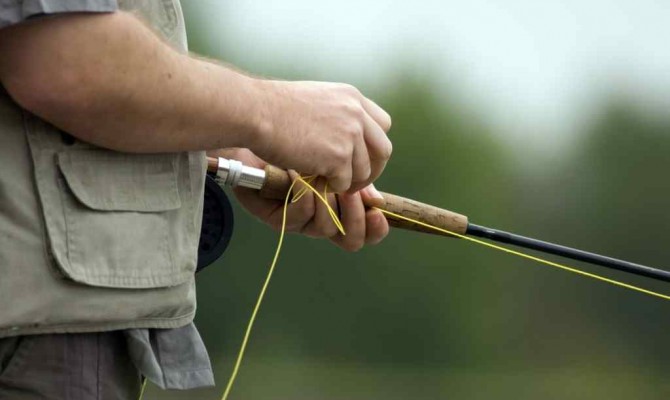 Любительский вылов рыбы в Украине станет платным