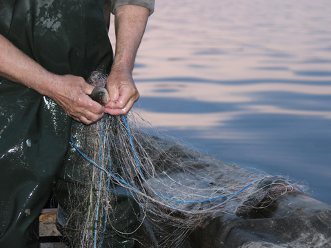 Вместо Рыбинспекции в Украине появится рыбный патруль