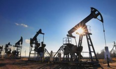 Украина за 8 месяцев снизила добычу нефти на 9,3%