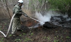 Под Киевом во время тушения торфяников прогремели взрывы