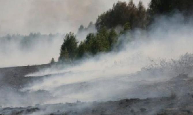 В Киевской области продолжается тушение 22 тлеющих торфяников