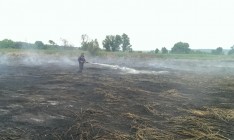 Пожарные продолжают тушить 119 га торфяников под Киевом