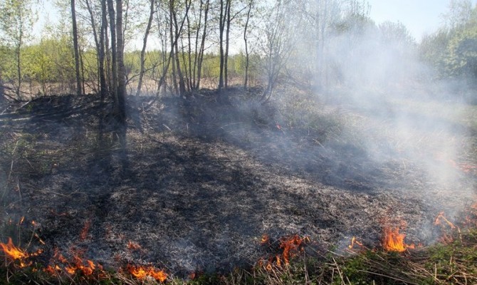 Площадь торфяных пожаров в Киевской области уменьшилась почти до 51 га