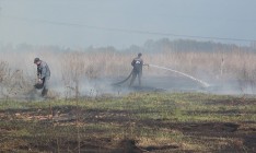 В Киевской области продолжают гореть 55 га торфяников