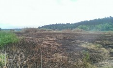 Более 174 га торфяников продолжают тлеть в Полтавской области