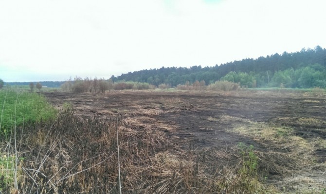 Более 174 га торфяников продолжают тлеть в Полтавской области