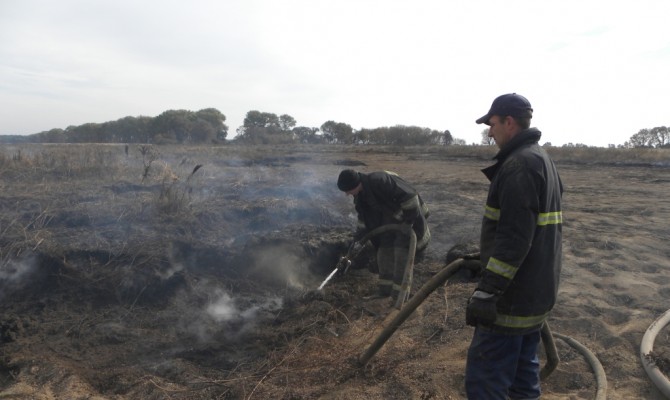 Под Киевом продолжают тушить 10 очагов тления торфа