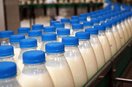 В Крыму сетуют на неразвитость молочной отрасли