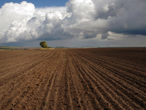 Продлен мораторий на продажу земель сельхозназначения